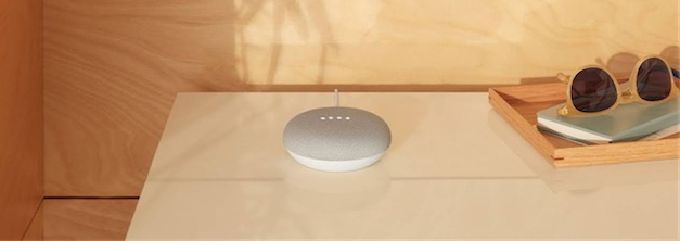 Google Home Mini Galet